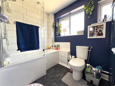 Picture 15